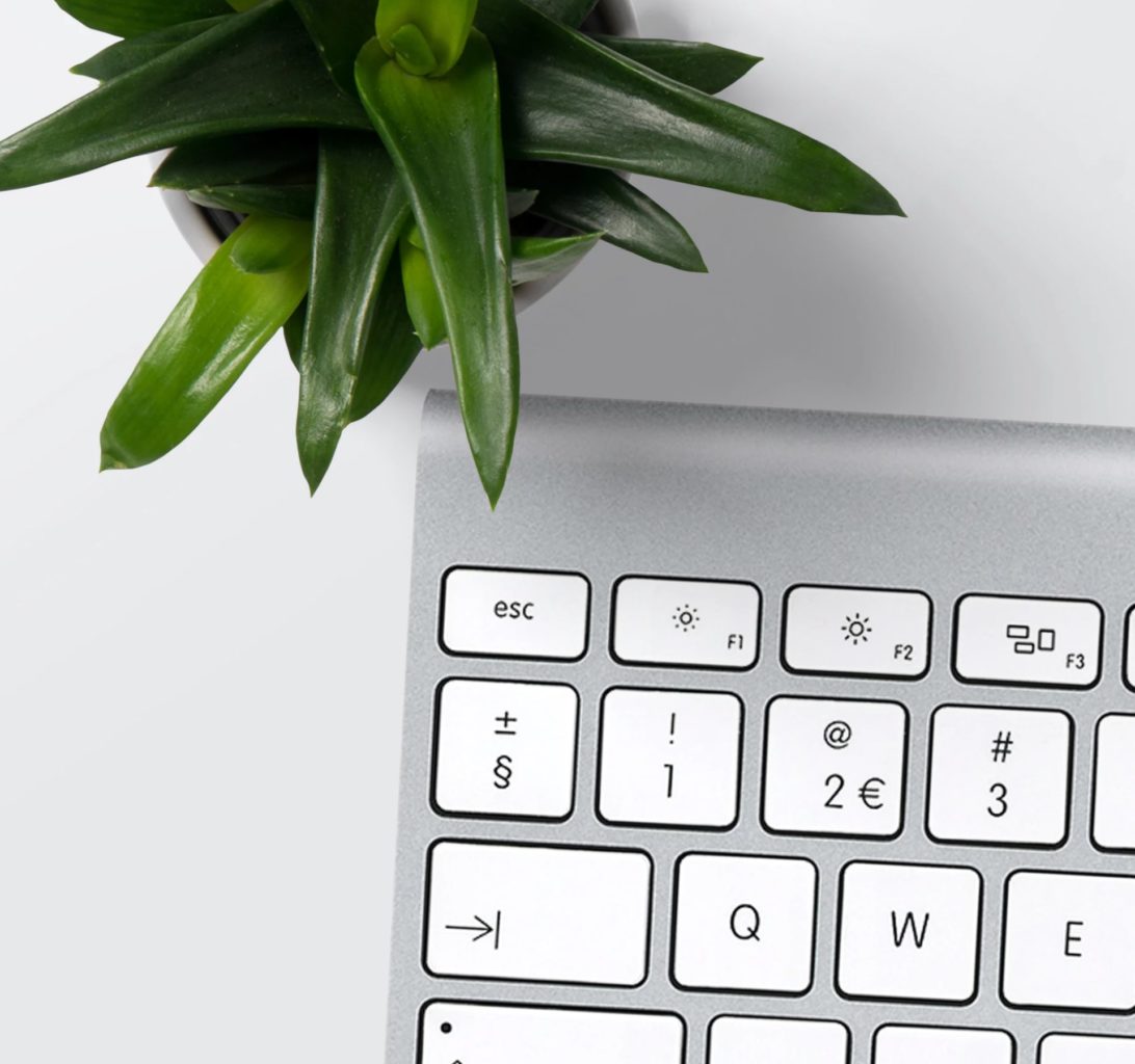 Mac keyboard with small plant