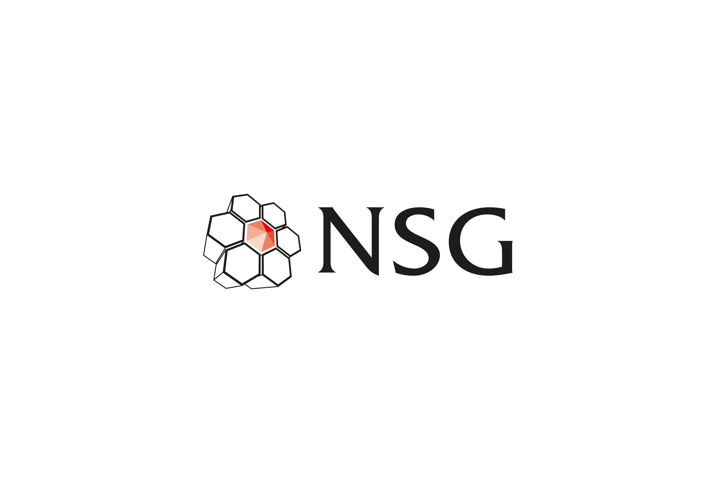 NSG Limited Logo